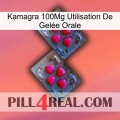 Kamagra 100Mg Utilisation De Gelée Orale 14